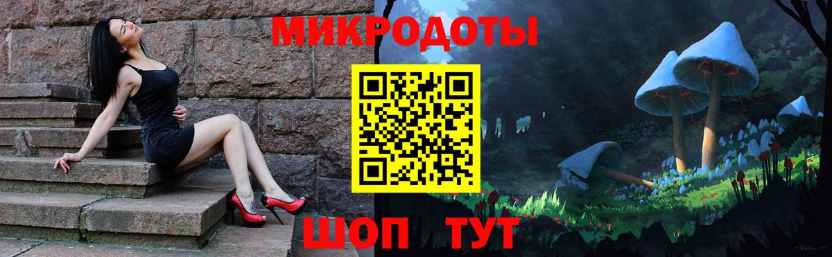 Новозыбков  Псилоцибиновые грибы Psilocybine cubensis  Вход с VPN 